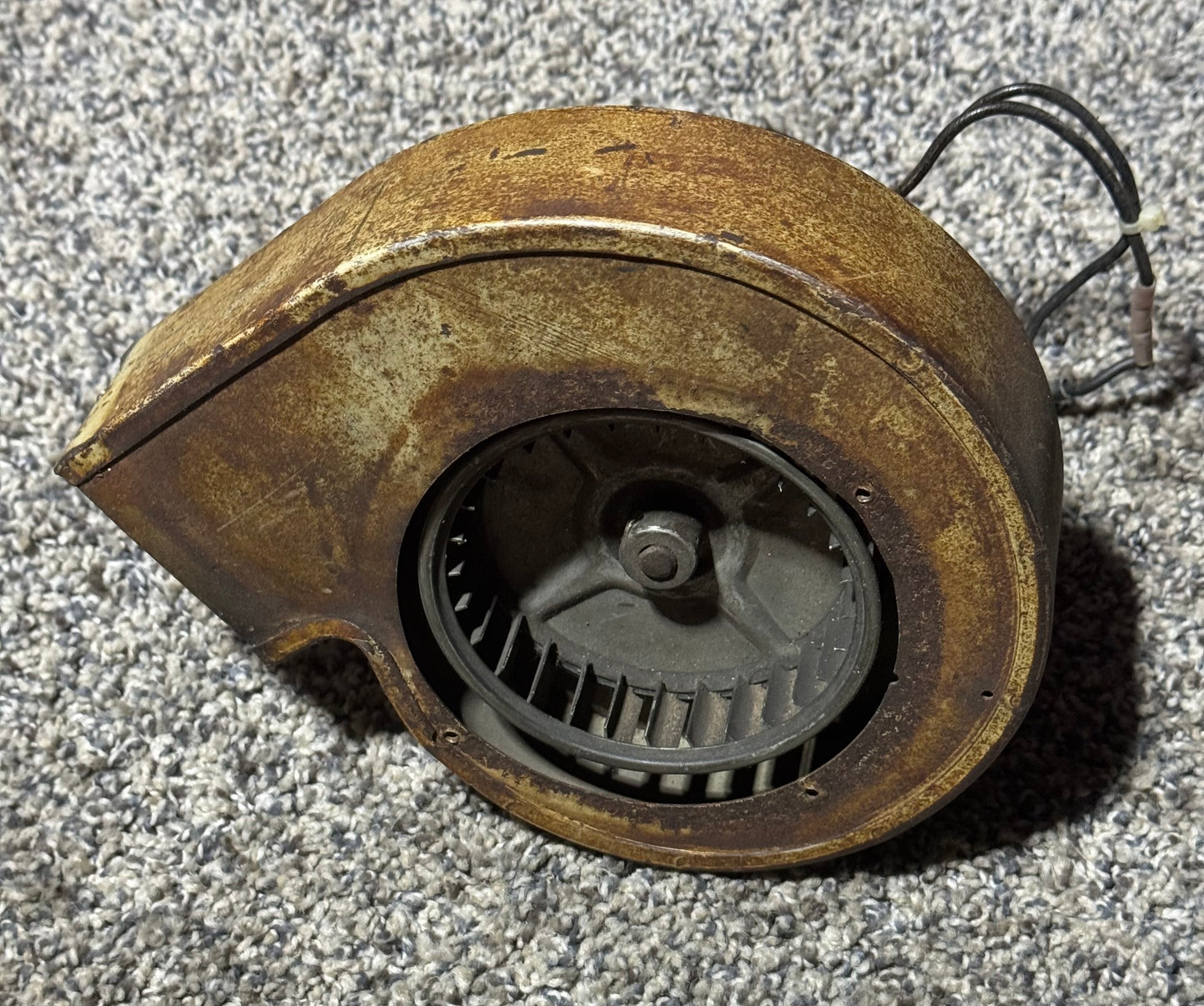 9910088-14 C-340A Combustion Air Blower W/ Motor